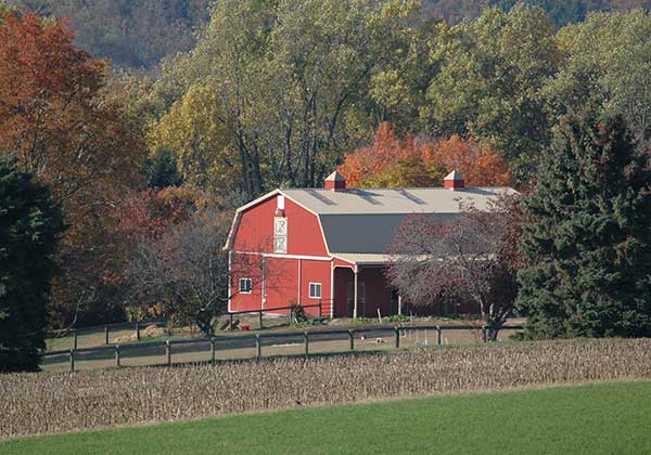 Cecil County Barn